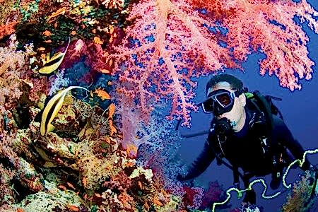 İçmeler Dalış Turu