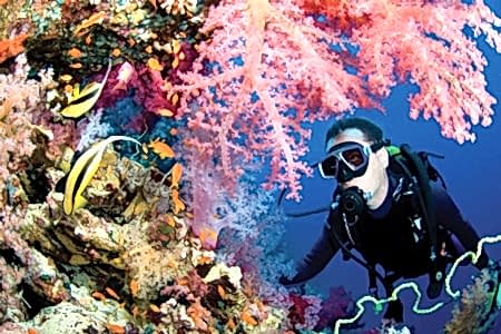 Fethiye Dalış Turu