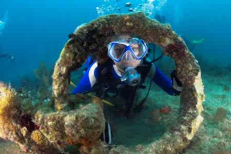 Kuşadası Dalış Turu