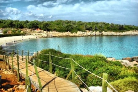 Turunç Kleopatra Tekne Turu