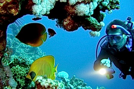 Turunç Dalış Turu