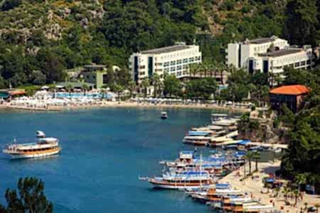 Turunç Tekne Krialama