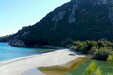 Olimpos Günlük Turlar